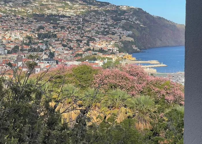 In Town View Appartement