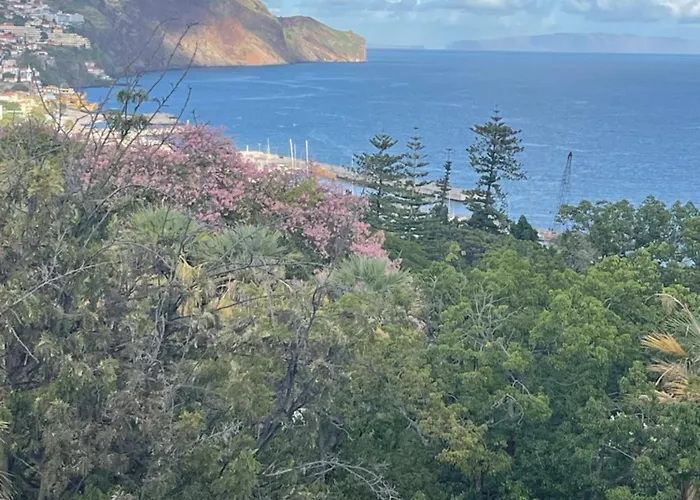 公寓 In Town View *